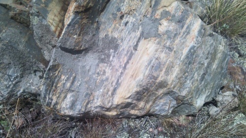 Гигантские зелёные валуны для ландшафтного дизайна весом более 5 тонн купить в Волгоградской области